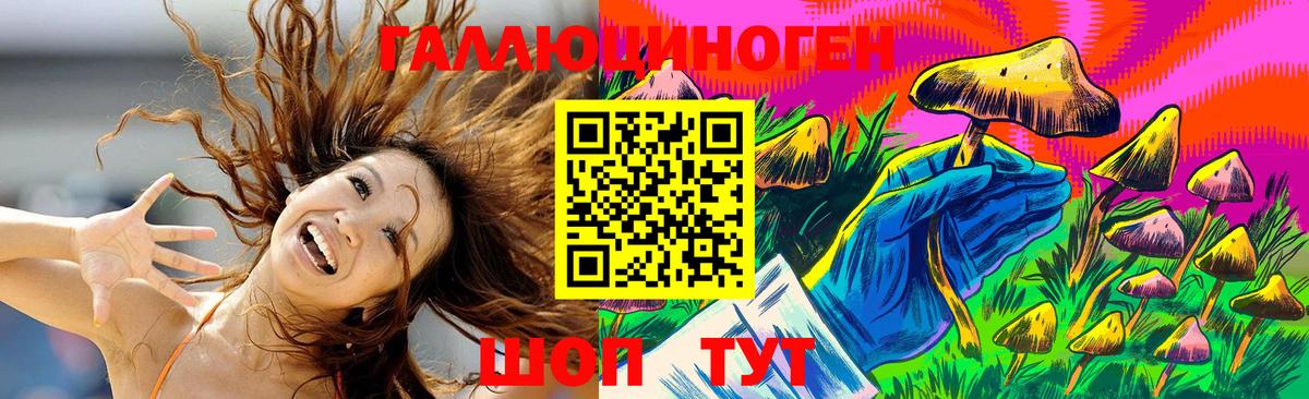 Дивногорск  Псилоцибиновые грибы Psilocybine cubensis  Вход с VPN 