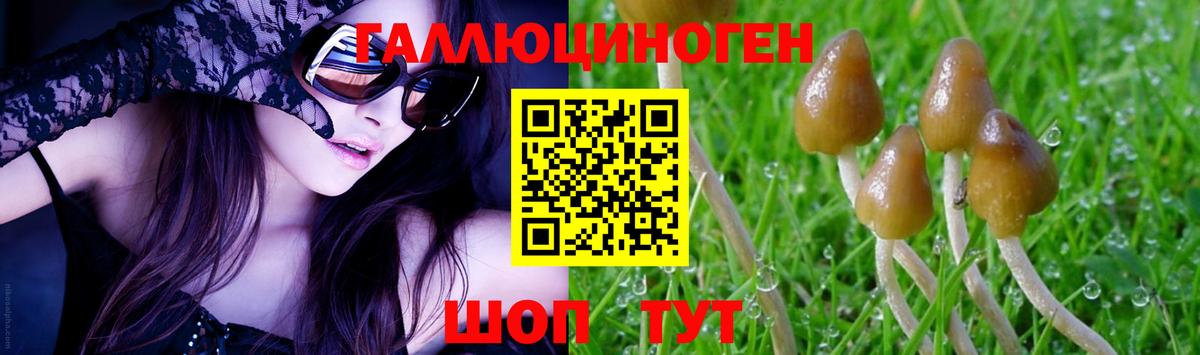 Галлюциногенные грибы GOLDEN TEACHER Дивногорск