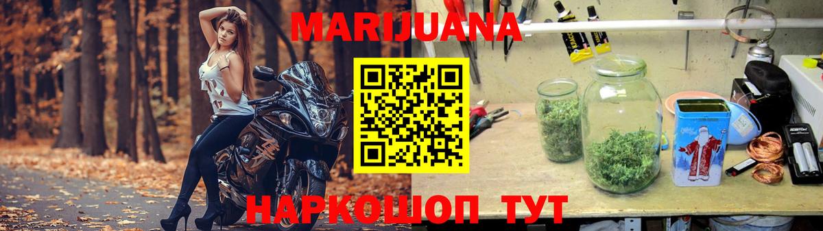 Конопля OG Kush Дивногорск